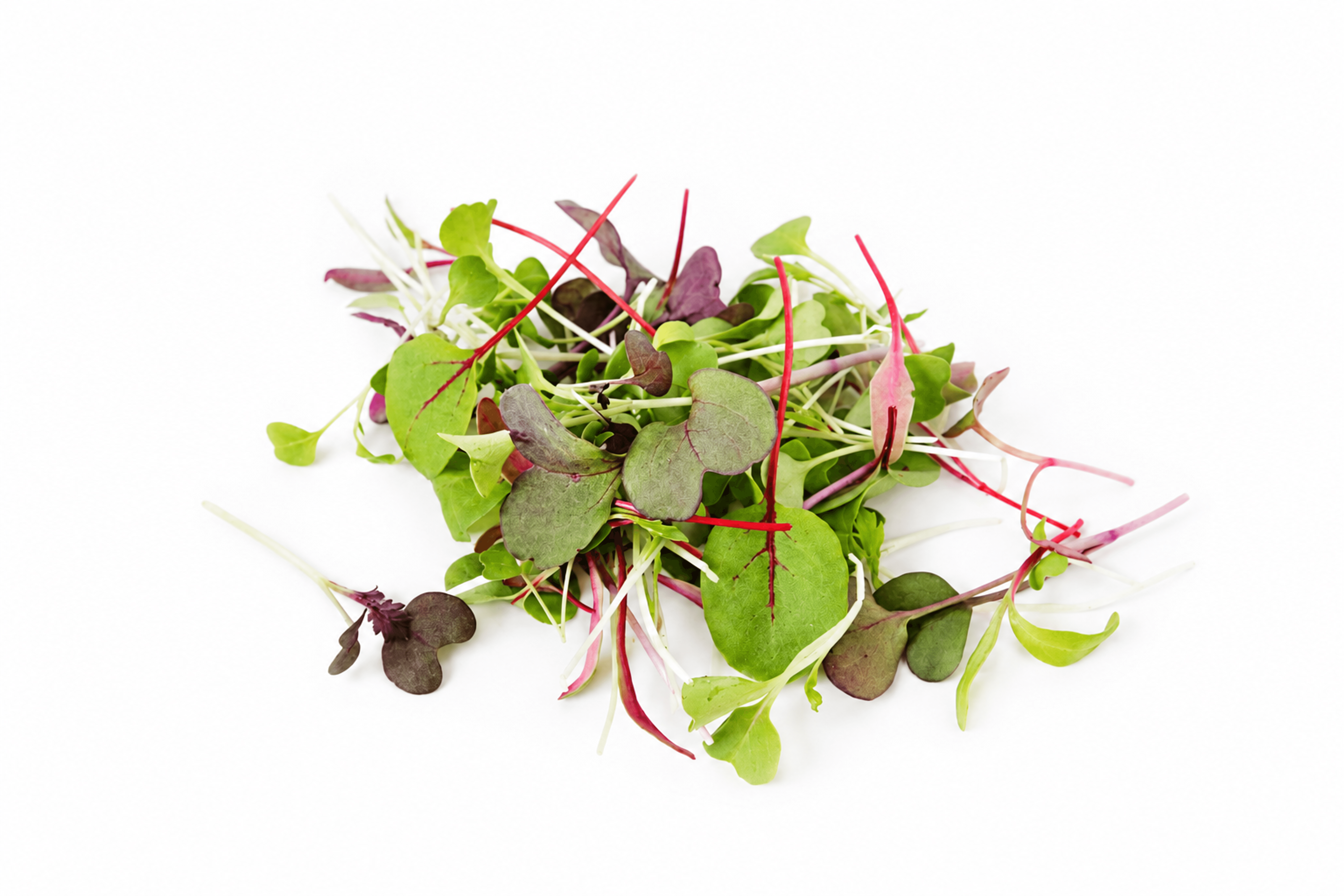 Micro Mix
