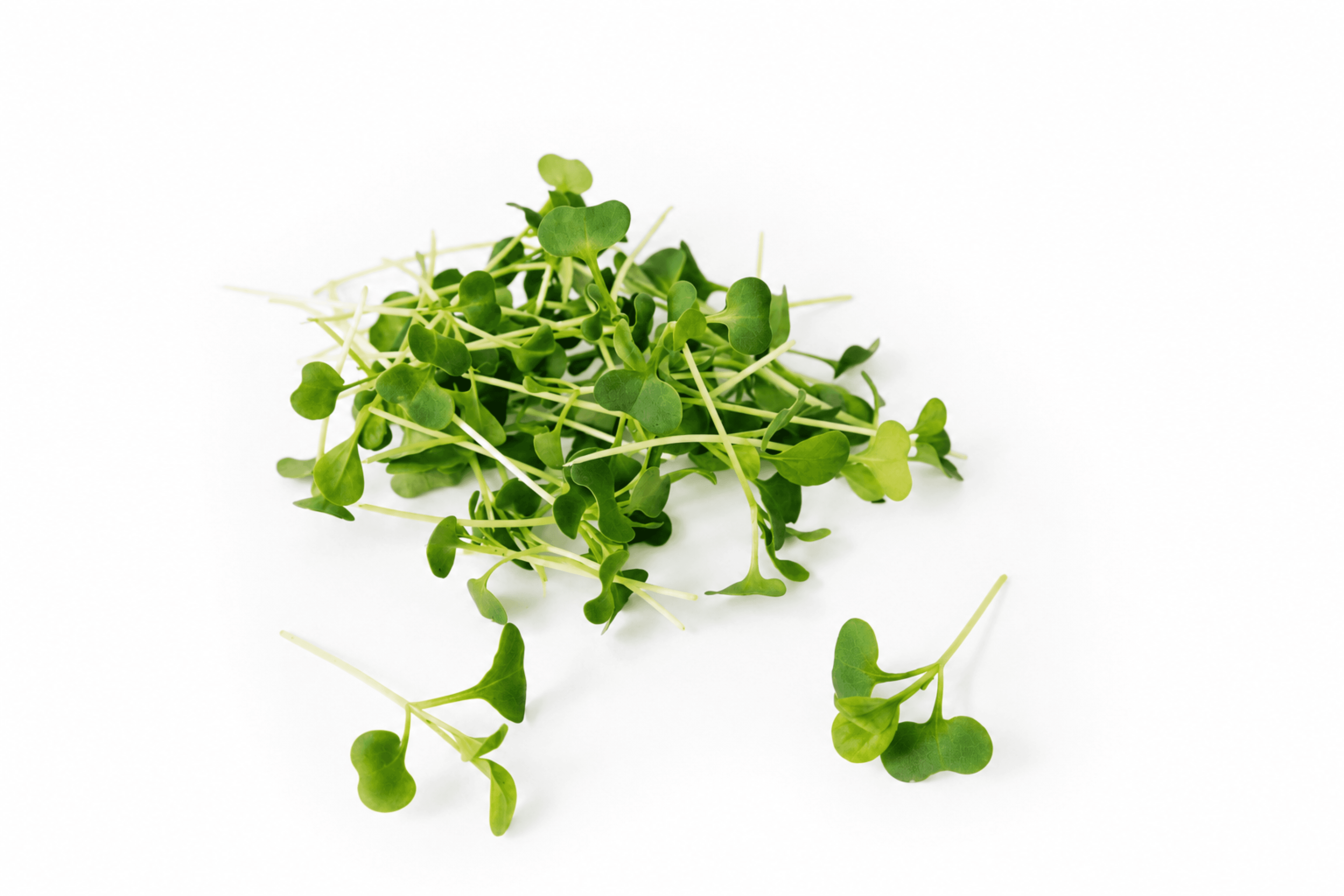 Tatsoi