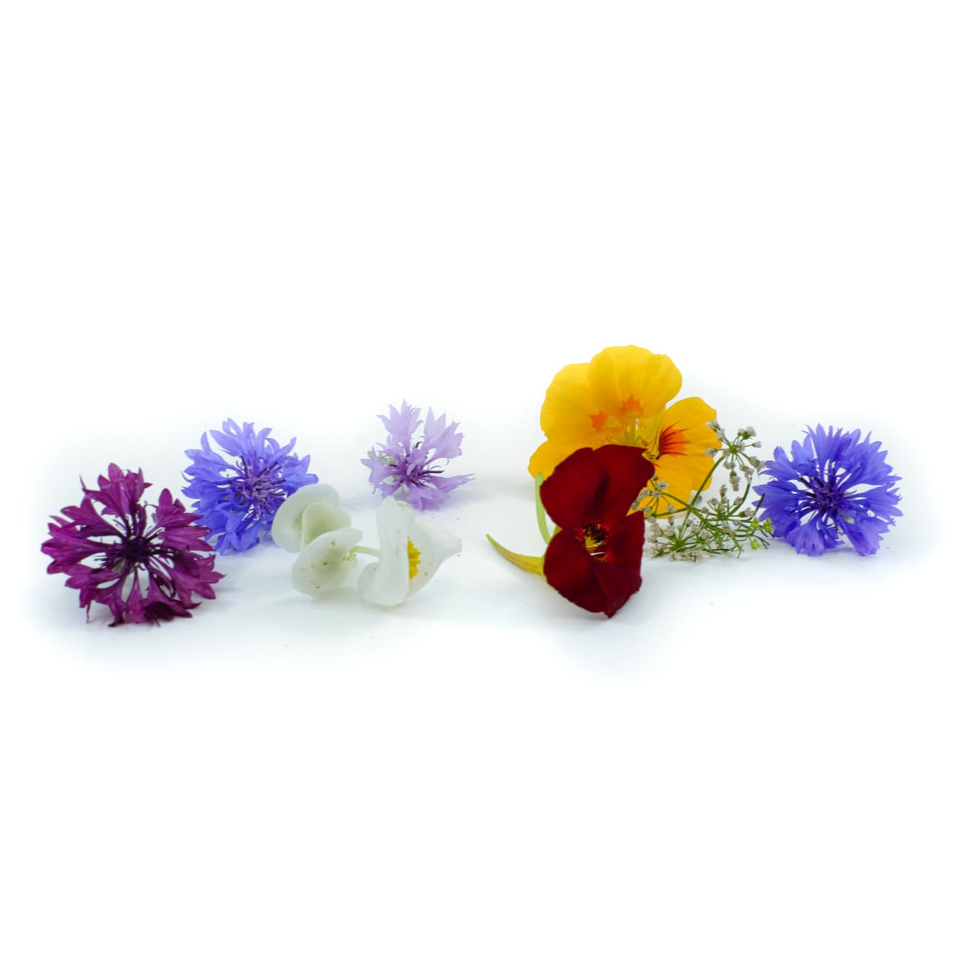 Flowers gemischt