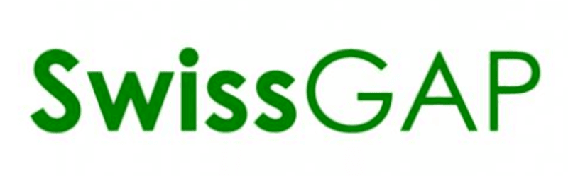 Micro Leaves Logo