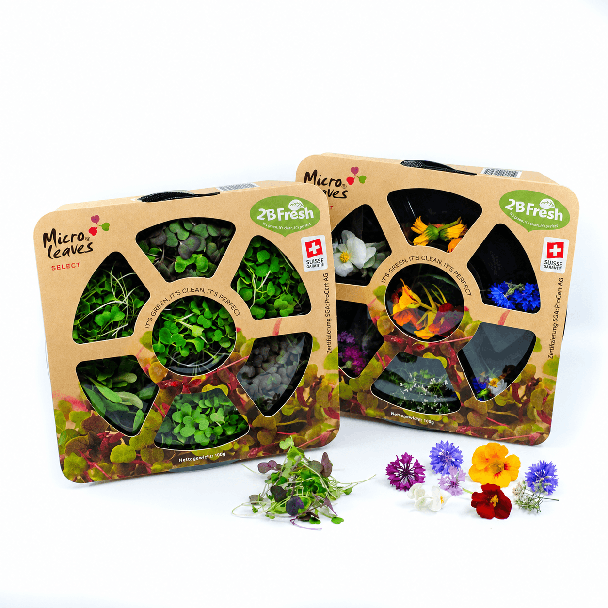 Micro Leaves Kits